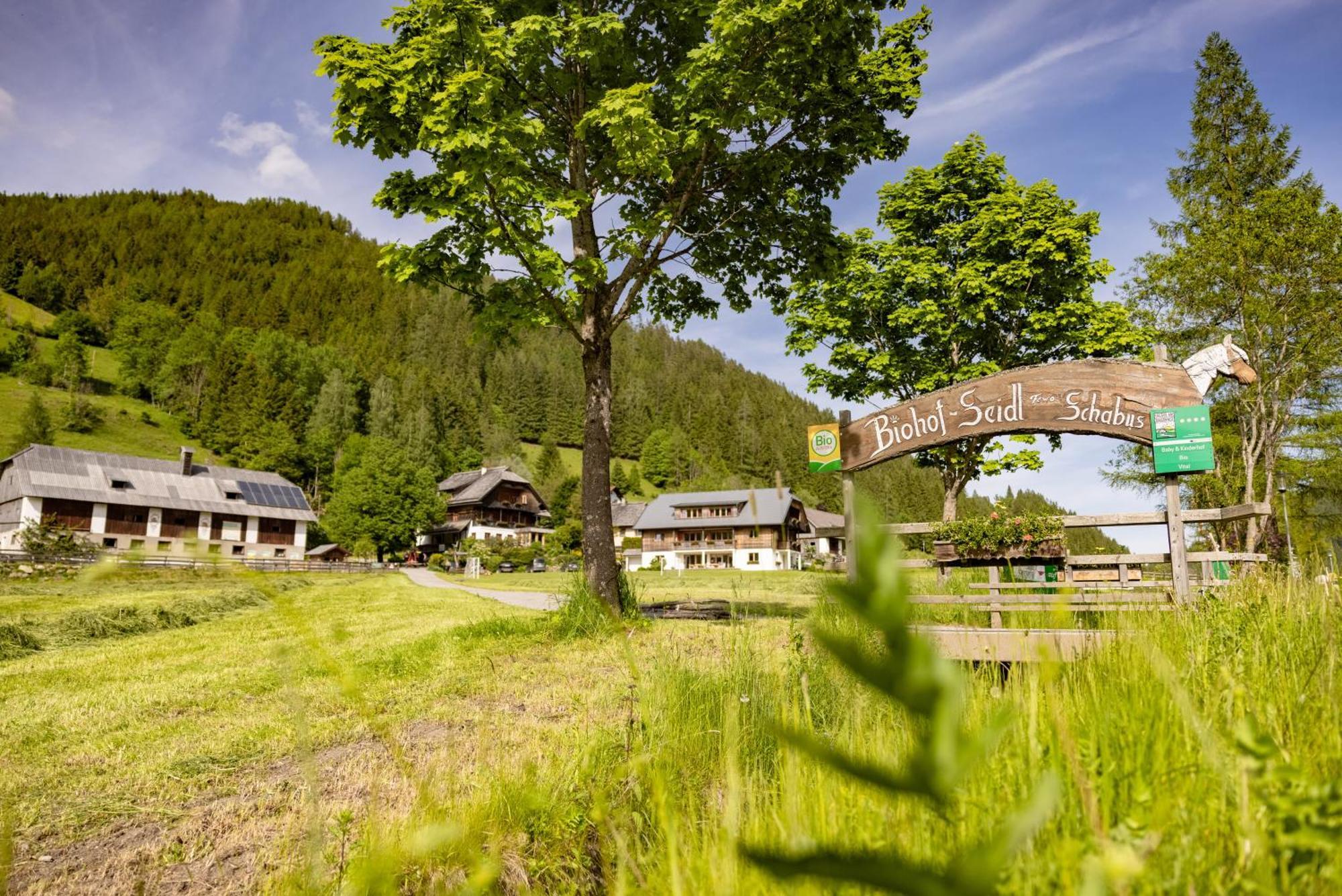 Апартаменти Biohof Seidl Бад-Кляйнкірхгайм Екстер'єр фото